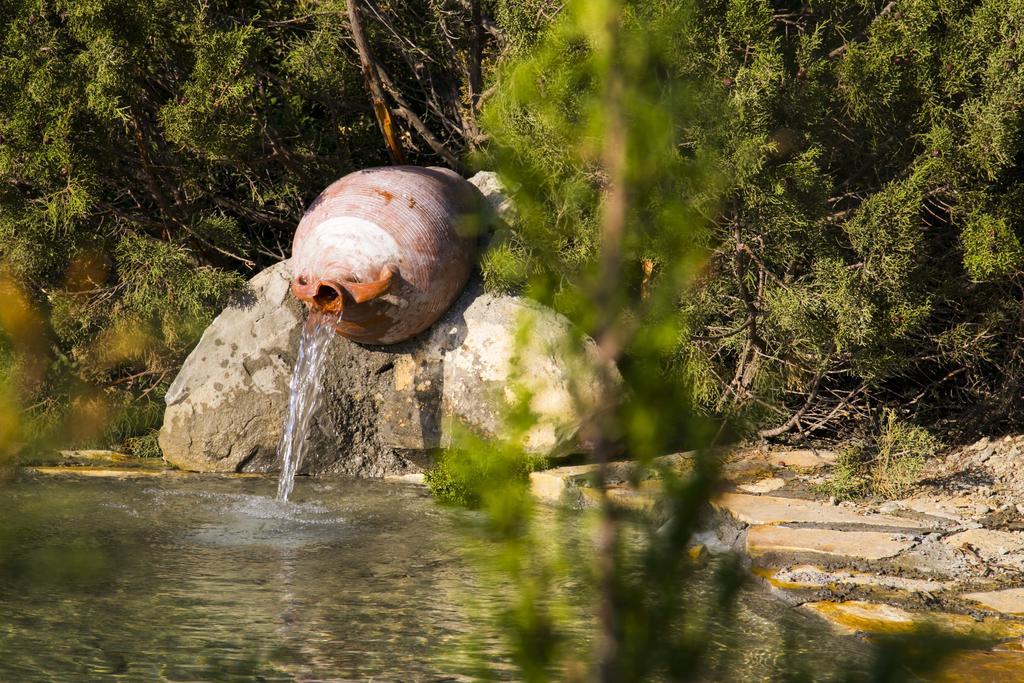 Ξενοδοχείο Αικατερίνη Κιοτάρι Εξωτερικό φωτογραφία